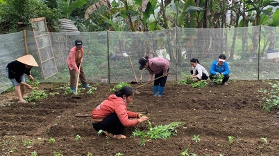Tien Yen-kvinnor övervinner svårigheter tillsammans