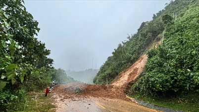 دا نانگ ہائی لینڈز: طویل موسلا دھار بارش، بہت سے علاقے الگ تھلگ
