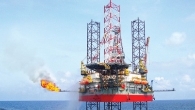 Giao PVN thực hiện một số nhiệm vụ, quyền hạn trong hoạt động dầu khí