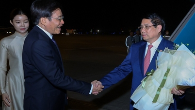 Премьер-министр Фам Минь Чинь прибыл в Ханой, успешно завершив свою рабочую поездку для участия в 47-м саммите АСЕАН.