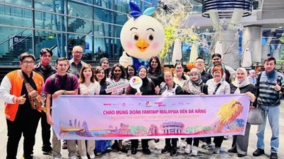 Da Nang, Malezya pazarına turizmi teşvik ediyor