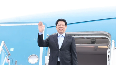 Başkan Luong Cuong, 32. APEC Zirve Haftası için Kore'ye gidiyor