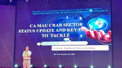 Ca Mau promueve la cooperación internacional para desarrollar la industria del cangrejo utilizando tecnología moderna de mejoramiento genético.