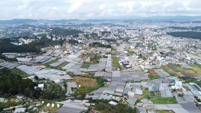 Lam Dong má téměř 300 projektů, které čelí obtížím a překážkám, jež je třeba vyřešit.