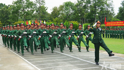 Regimento 5, Divisão 5 (Região Militar 7): Passos firmes na construção de uma unidade regular e bem treinada