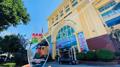 Cine conduce de fapt Universitatea de Afaceri și Tehnologie din Hanoi?