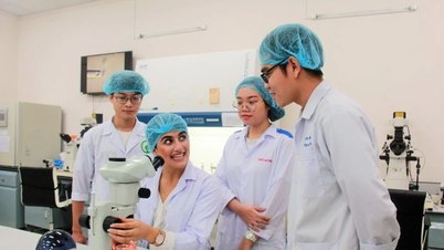 A universidade implementa a Resolução nº 57/NQ-TW