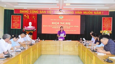 Góp ý dự thảo Báo cáo Chính trị trình tại Đại hội đại biểu Hội Nông dân tỉnh Tuyên Quang lần thứ I