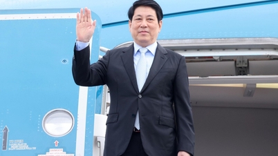 President Luong Cuong reser till APEC-toppmötets 32:a vecka