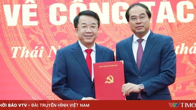 Domnul Nguyen Thanh Binh deține funcția de secretar adjunct al Comitetului de Partid Provincial Thai Nguyen