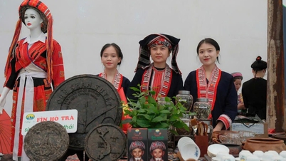 Le concours de produits de thé Shan Tuyet et le concours de techniques de fabrication du thé auront lieu du 5 au 7 novembre.