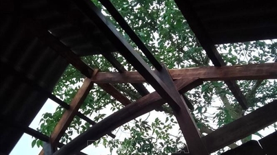 Nocne tornado spowodowało szkody o wartości prawie 1 miliarda VND w Ca Mau