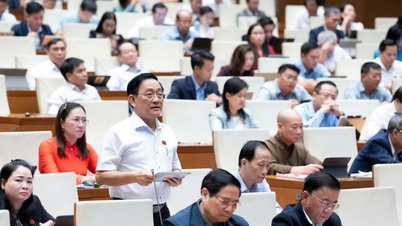 قومی اسمبلی کے مندوبین نے بنیادی تنخواہ میں اضافے کے لیے جلد ایڈجسٹمنٹ کی تجویز پیش کی۔