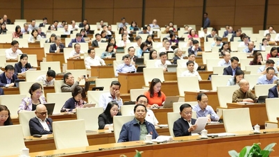 Báo cáo về kinh tế-xã hội của Chính phủ được chuẩn bị rất công phu, toàn diện, khách quan và khoa học