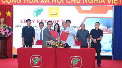 Ho Chi Minh City: Strengthening cooperation to develop Roller Sports