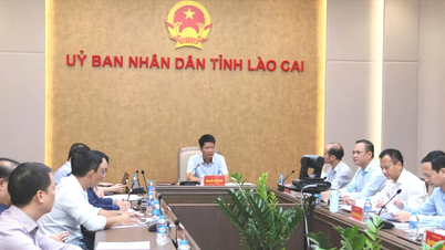 Hindernisse bei den Räumungsarbeiten im Industriepark Tran Yen entschlossen beseitigen