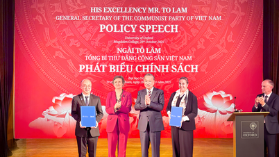 Institut Penelitian Tam Anh dan Universitas Oxford bekerja sama dalam pelatihan, penelitian, dan inovasi medis