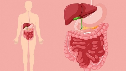 بحث أسترالي يكشف الدور المهم للهيدروجين في الجهاز الهضمي