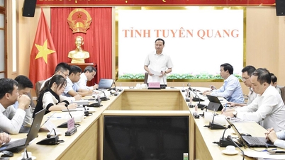 Der ständige stellvertretende Vorsitzende des Volkskomitees der Provinz, Nguyen Manh Tuan, arbeitete mit der My Lam Tea Joint Stock Company zusammen