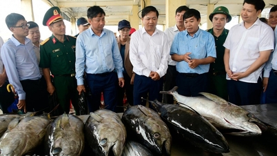 O secretário provincial do Partido, Luong Nguyen Minh Triet, inspeciona o trabalho de pesca anti-INN