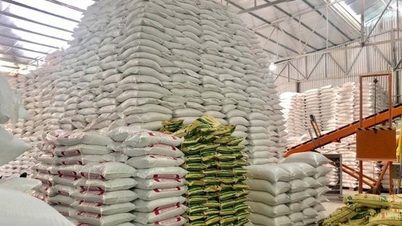 Fornecendo 300 toneladas de arroz e equipamentos salva-vidas para Hue