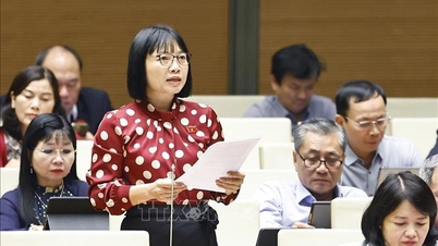 नए युग में वियतनाम की छवि को एक डिजिटल राष्ट्र, एक हरित राष्ट्र के रूप में अधिक स्पष्ट रूप से परिभाषित करना