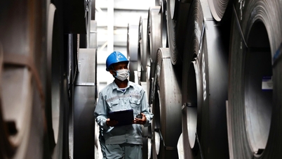 Группа компаний Hoa Phat выполнила 78% годового плана прибыли за 9 месяцев