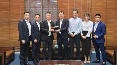 Hongkong Airlines menganggap Vietnam sebagai salah satu pasar paling potensial di Asia Tenggara.