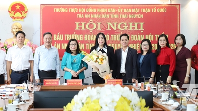 Kiện toàn chức danh trưởng, phó trưởng đoàn Hội thẩm Tòa án nhân dân tỉnh