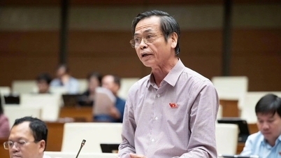 “Quando as pessoas boas não se atrevem a praticar boas ações, o sistema se enfraquece.”