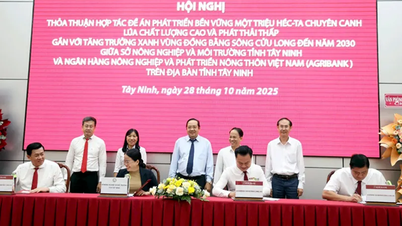 חתימה על הסכם שיתוף פעולה בין משרד החקלאות והסביבה של מחוז טיי נין לבין סניפי אגריבנק באזור.