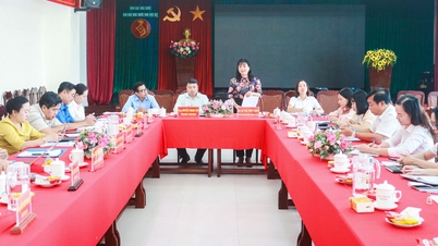 Undersøkelse av budsjettinntekter og -utgifter i Statskassens region XIX