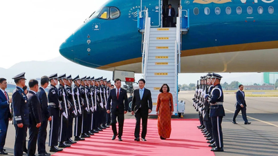 রাষ্ট্রপতি লুং কুওং কোরিয়ায় পৌঁছেছেন, APEC 2025 শীর্ষ সম্মেলন সপ্তাহে যোগদানের জন্য কর্মসূচি শুরু করছেন