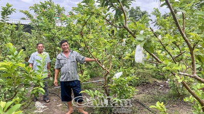 Enriqueça com a agricultura moderna.