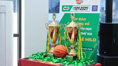 19वें हनोई प्राइमरी स्कूल बास्केटबॉल टूर्नामेंट में 139 टीमों ने भाग लिया