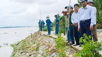 Setiausaha Parti Wilayah - Tran Van Lau: Mengatasi tanah runtuh dengan cepat dan menyeluruh di komune Phong Thanh, menstabilkan kehidupan rakyat