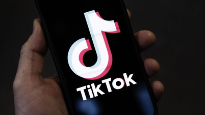 Khoảng 70 triệu người dùng Việt Nam sử dụng Tiktok mỗi tháng