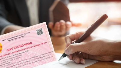 Planerar att tillfälligt ta ut avgifter för utgivning av rosa böcker i Ho Chi Minh-staden efter sammanslagningen