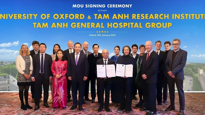 Promoting cooperation in training, research and medical innovation with the UK