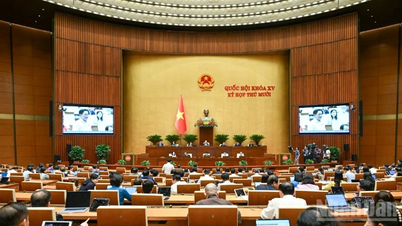 Ensuring effective operation of the two-level local government model