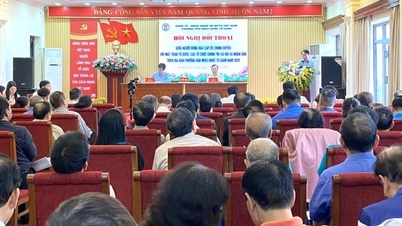 Der Wahlkreis Van Mieu - Quoc Tu Giam ging umfassend auf die Petitionen der Bevölkerung ein.