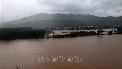 Đà Nẵng: Lắp Trạm thu - phát sóng dã chiến tại vùng bị mưa lũ cô lập