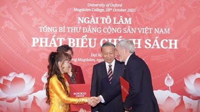 L'université d'Oxford annonce la création d'un fonds de bourses d'études Pioneer pour les étudiants vietnamiens.