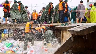 O dique marítimo em Da Nang desabou devido às ondas, e a Divisão 315 respondeu com urgência à inundação.
