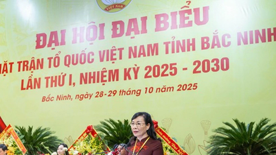 Konzultace zvolila paní Nguyen Thi Ha do funkce předsedkyně Výboru Vietnamské vlastenecké fronty provincie Bac Ninh.