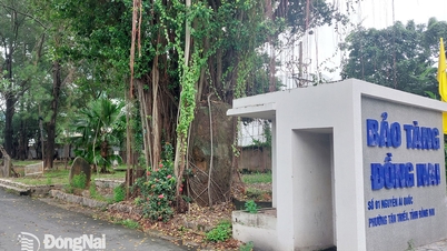 Membina projek ruang kreatif untuk artis Dong Nai