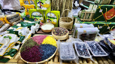 শরৎ মেলায় উত্তর-পশ্চিমাঞ্চলের মানুষের অসাধারণ পার্বত্য অঞ্চলের পণ্য