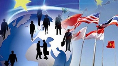 Doanh nghiệp Việt vững vàng hội nhập qua Chương trình Go Global