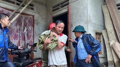 Quang Ngai solicita ayuda de emergencia en forma de alimentos, medicinas y 200 mil millones de VND para hacer frente a las inundaciones.