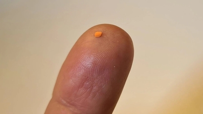 Un obiect de 2 mm face minuni și îi ajută pe nevăzători să citească cărți